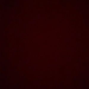 Kids shorts size 14 by wonder nation 2 pairs